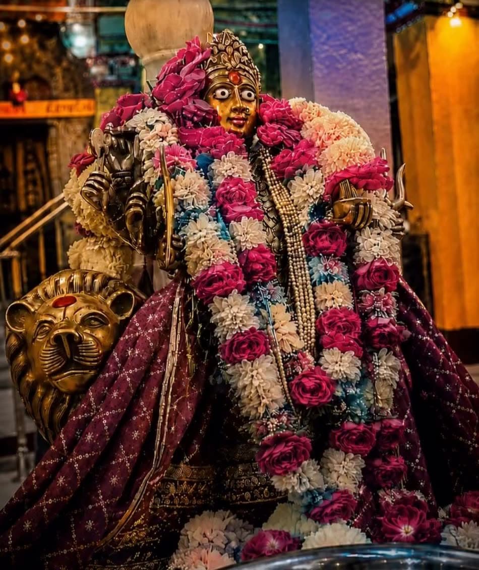 Maa Baglamukhi adorned with flower garlands in the temple darbar
